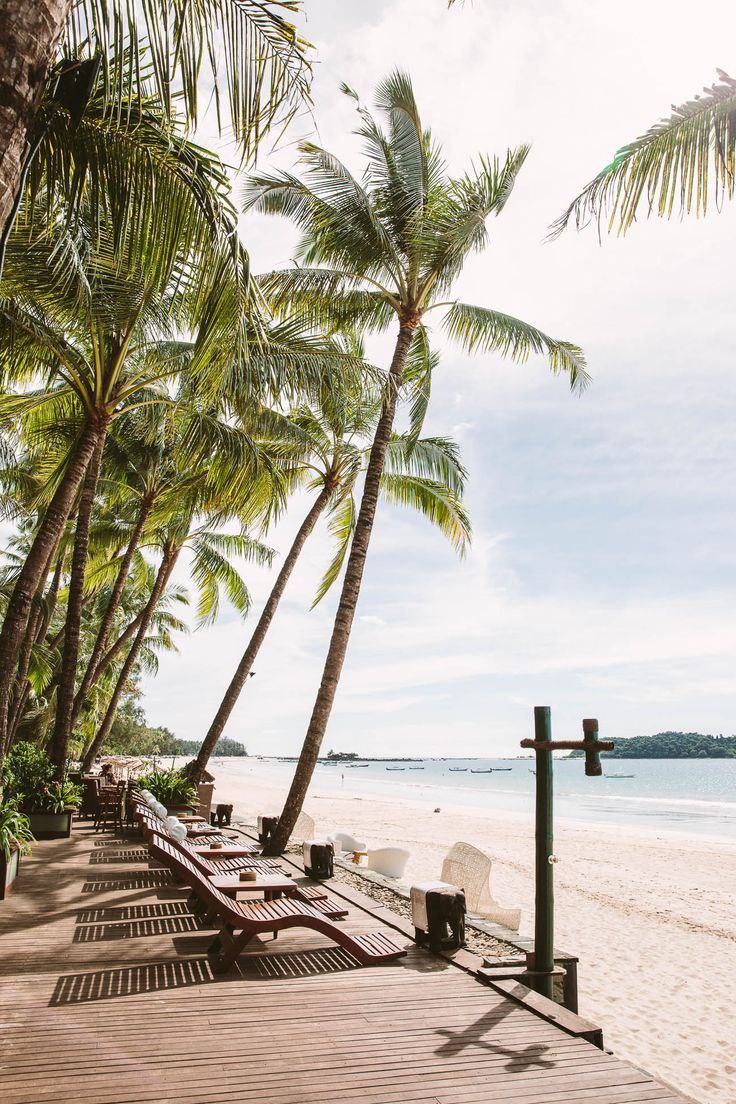 Beach View